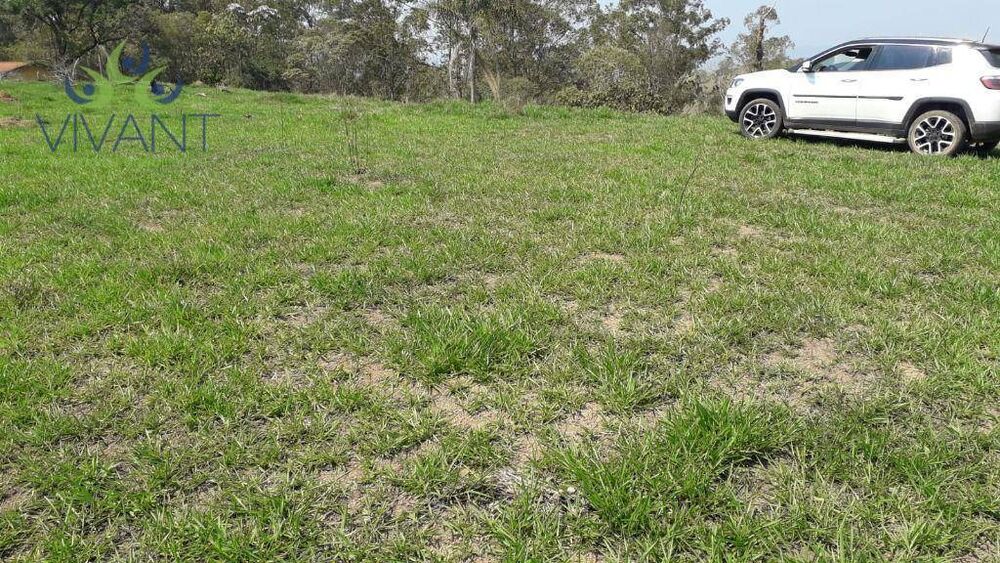 Terreno, 2 hectares - Foto 5