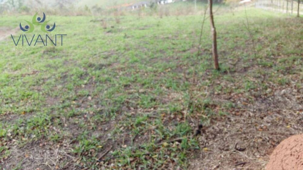 Terreno, 2 hectares - Foto 4