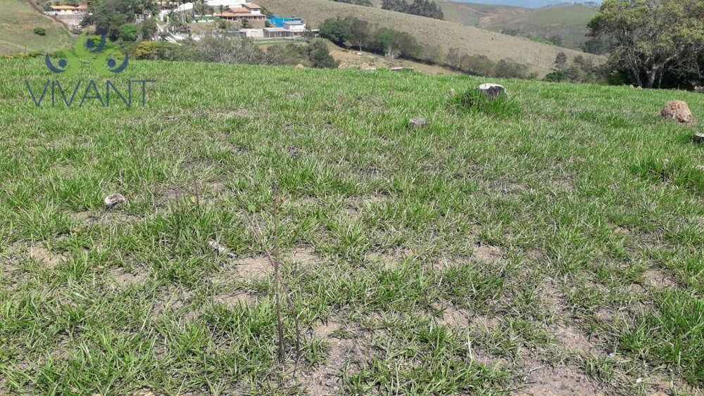 Terreno, 2 hectares - Foto 1