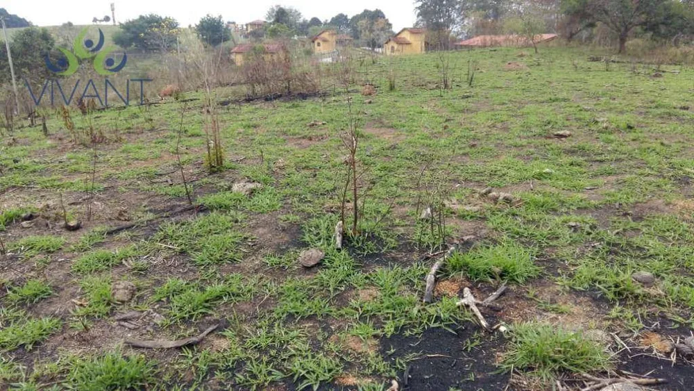 Terreno, 2 hectares - Foto 10