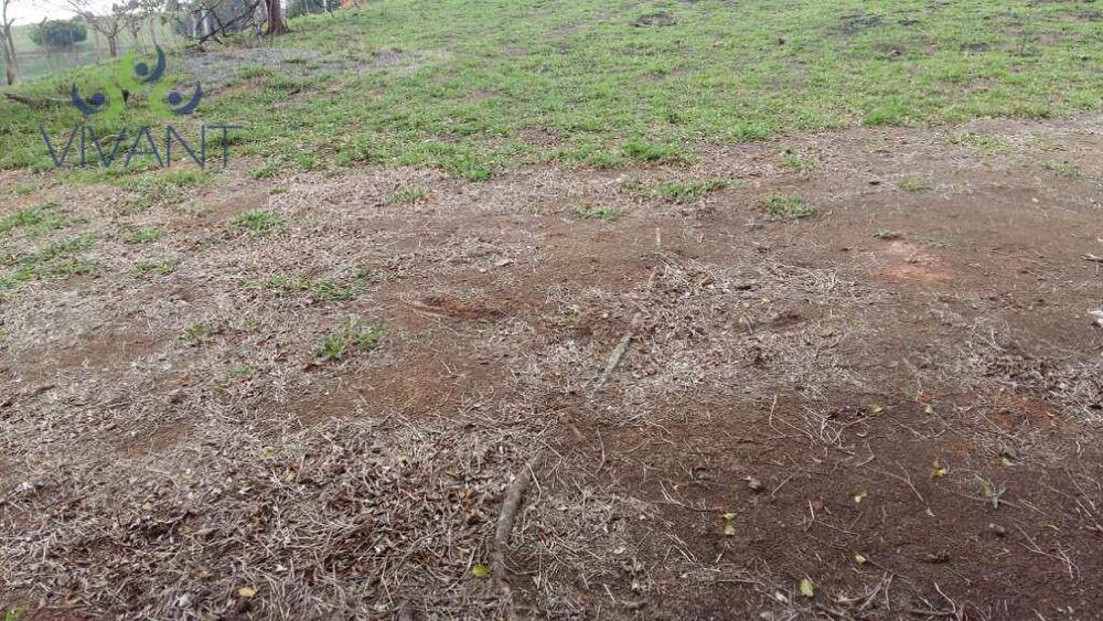 Terreno, 2 hectares - Foto 7