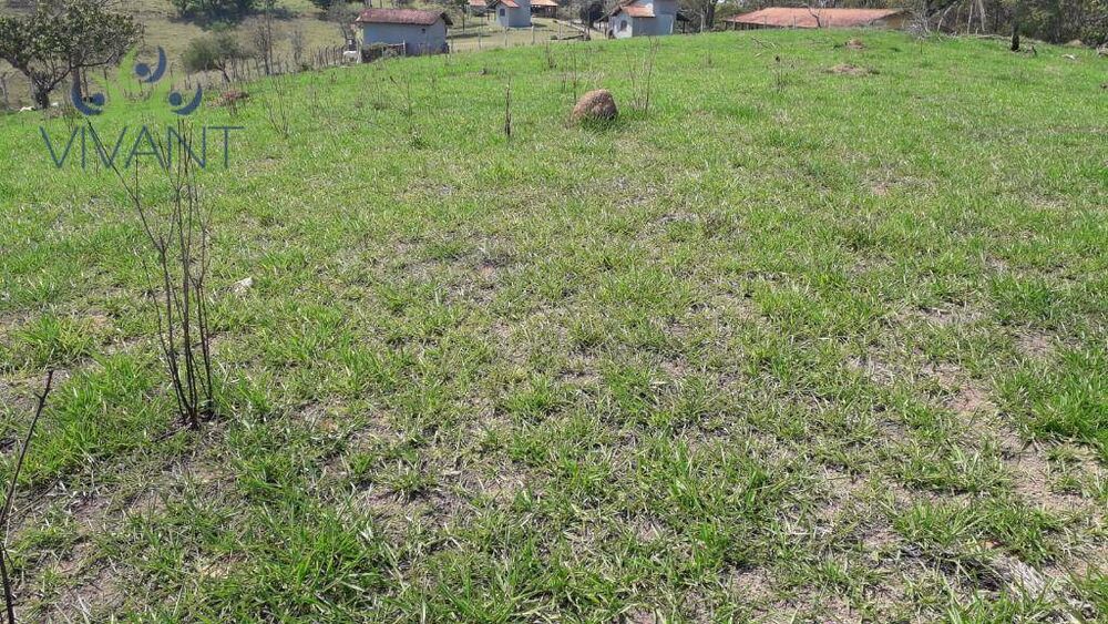 Terreno, 2 hectares - Foto 2