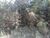 Terreno, 2 hectares - Foto 1