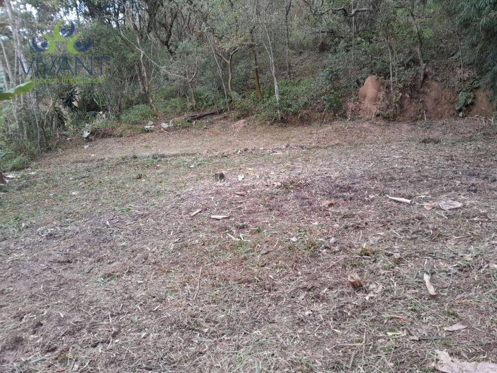 Terreno, 1775 m² - Foto 4