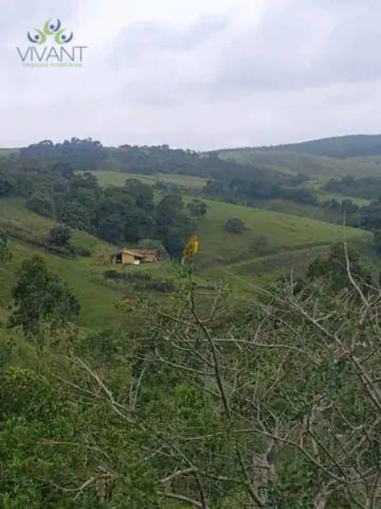 Sítio, 6 quartos, 12 hectares - Foto 8