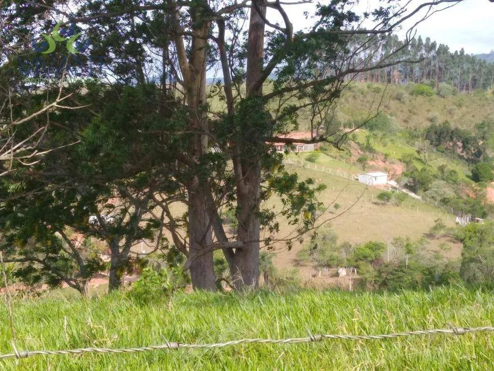 Sítio, 6 quartos, 12 hectares - Foto 9