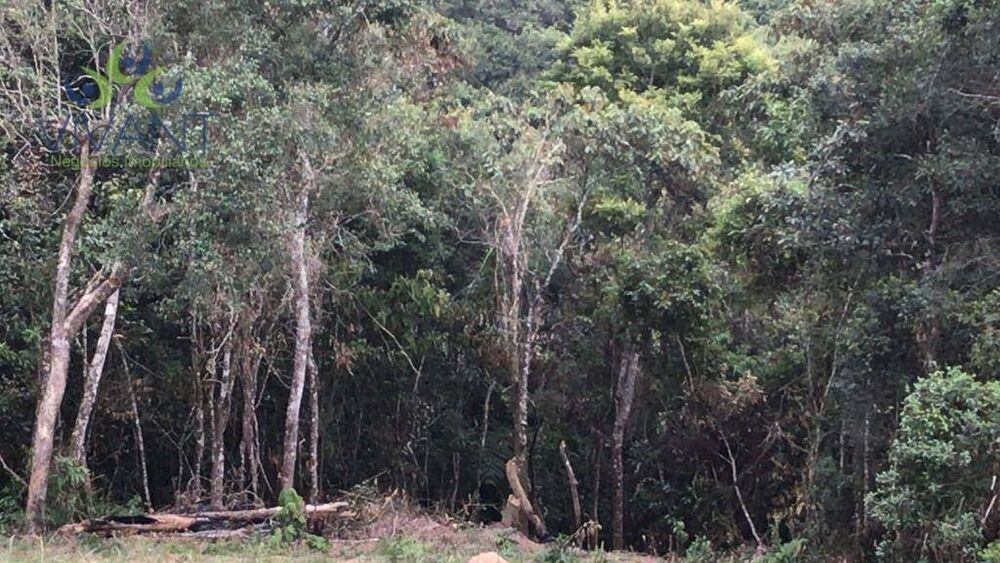 Terreno, 4000 m² - Foto 8