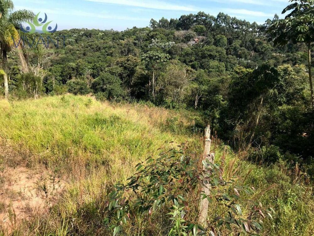 Terreno, 4000 m² - Foto 2