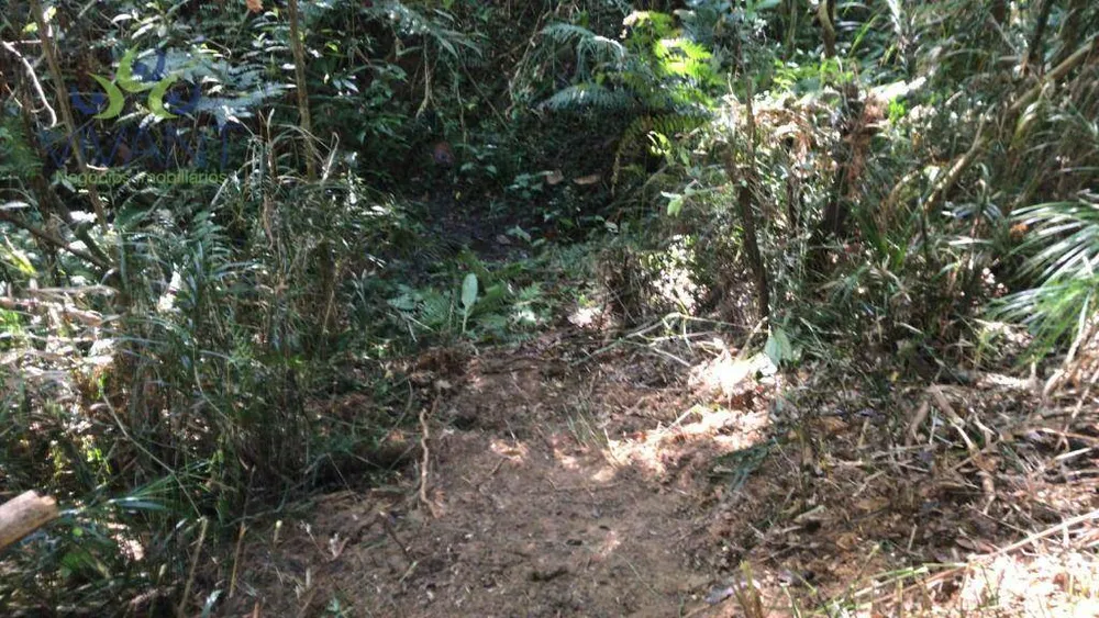 Terreno, 4000 m² - Foto 10