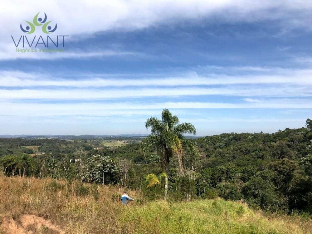 Terreno, 4000 m² - Foto 4