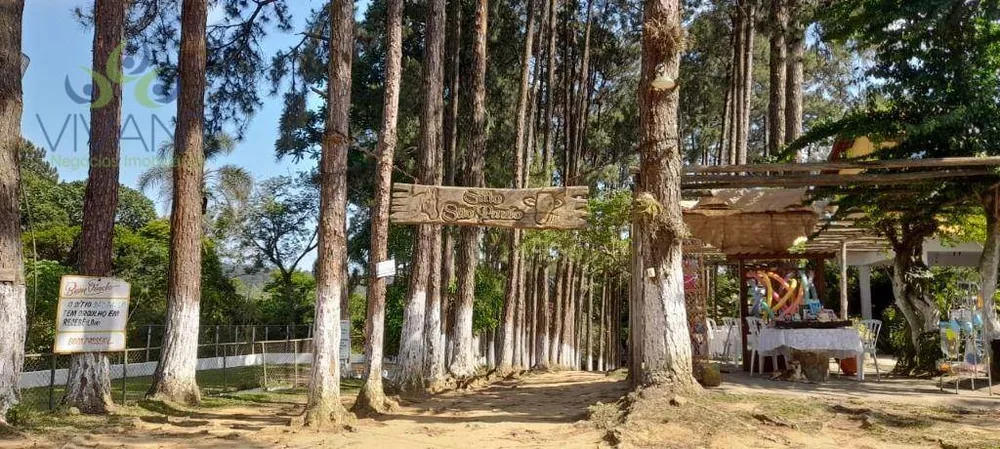 Sítio, 2 hectares - Foto 1