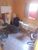 Casa, 3 quartos, 110 m² - Foto 5