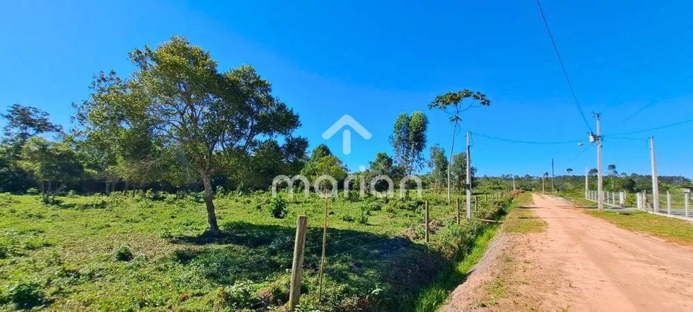 Terreno, 3000 m² - Foto 5