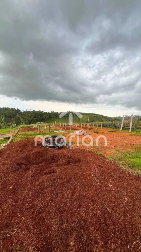 Chácara, 1 quarto, 1 hectares - Foto 3