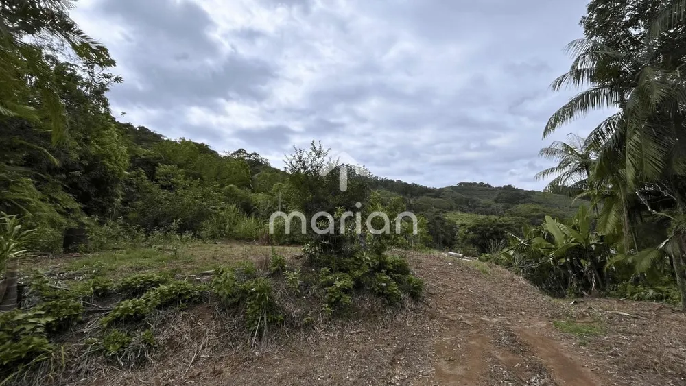 Sítio, 2 quartos, 22 hectares - Foto 3