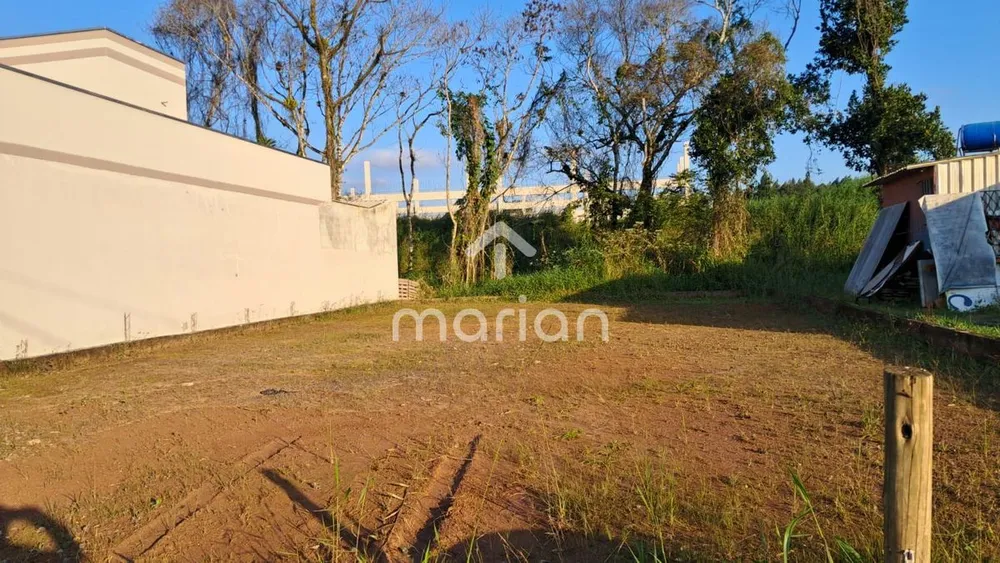 Terreno - Foto 3