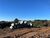 Terreno, 360 m² - Foto 2