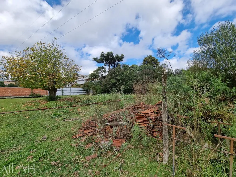 Terreno, 18670 m² - Foto 2