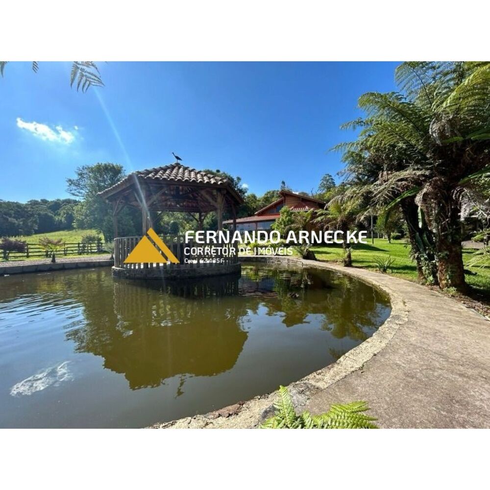 Sítio, 4 quartos, 350 m² - Foto 19