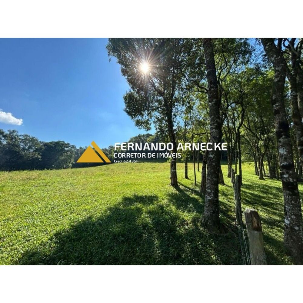 Sítio, 4 quartos, 350 m² - Foto 15