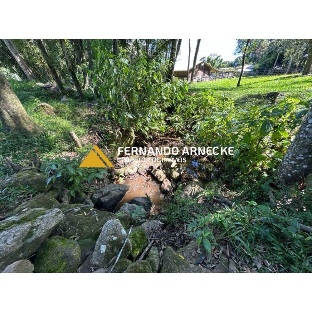 Sítio, 4 quartos, 350 m² - Foto 8