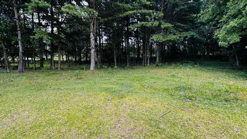 Terreno, 5000 m² - Foto 1