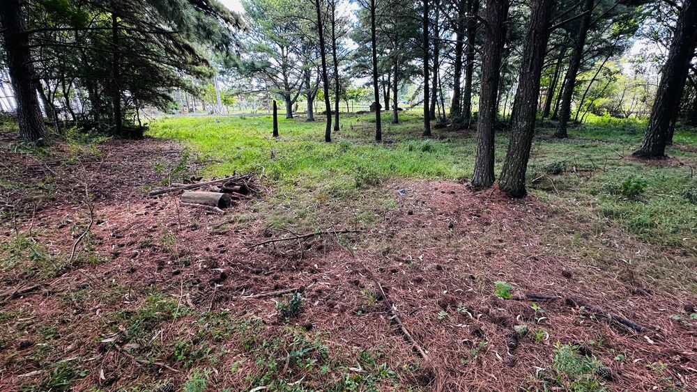 Terreno, 5000 m² - Foto 9