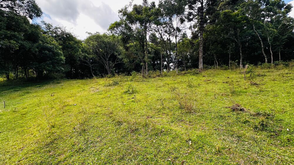 Terreno, 5000 m² - Foto 3