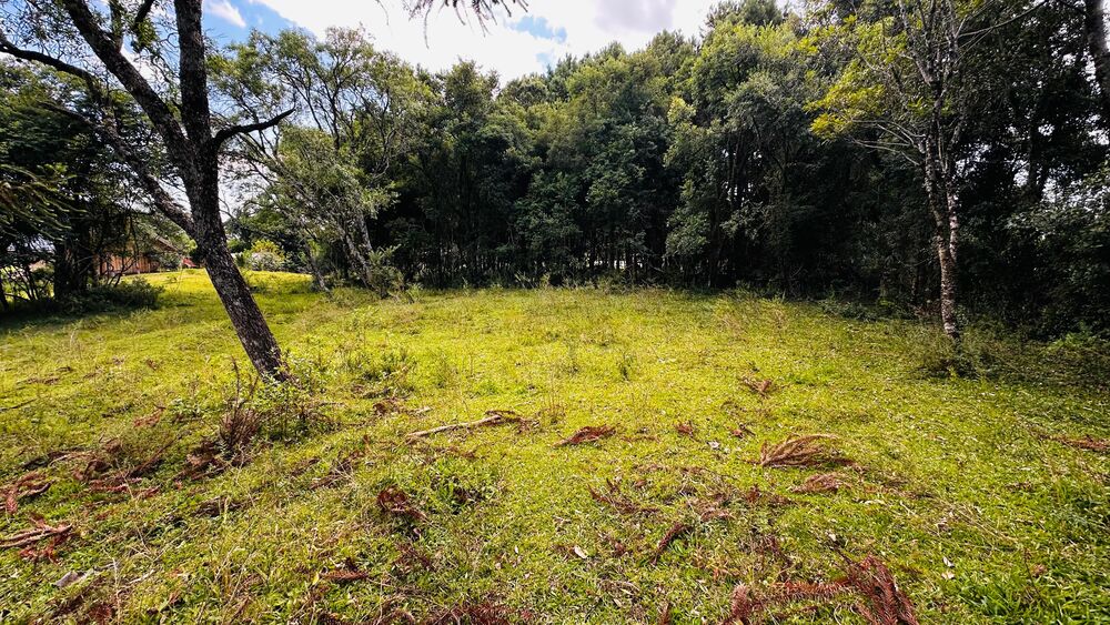 Terreno, 5000 m² - Foto 6