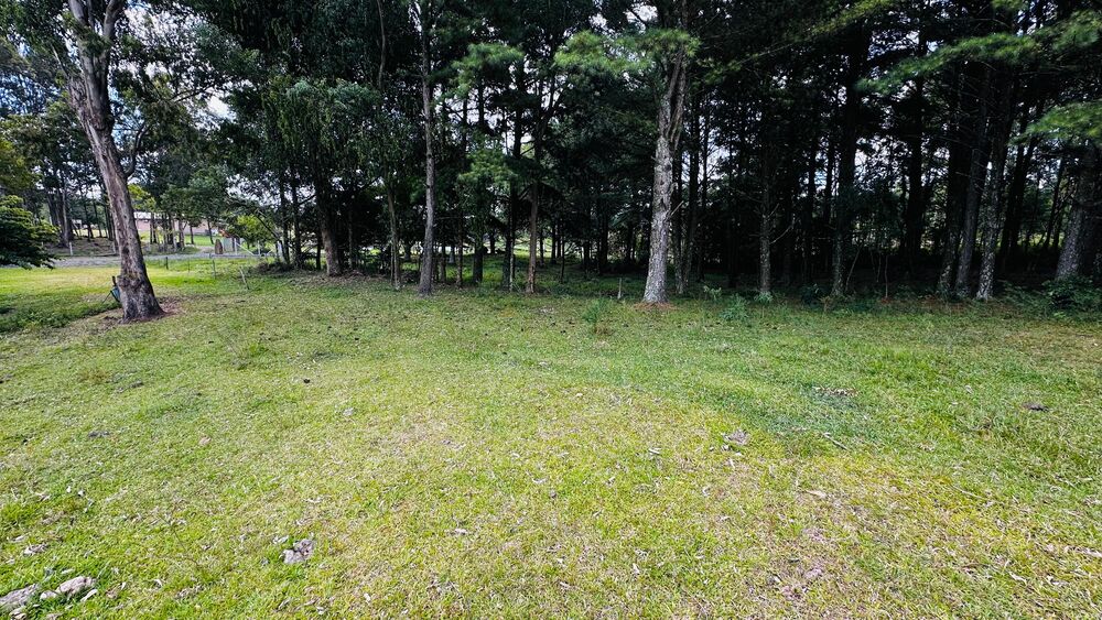 Terreno, 5000 m² - Foto 2