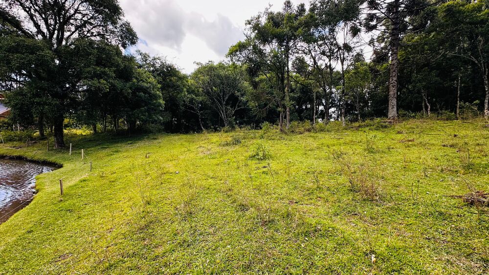 Terreno, 5000 m² - Foto 4