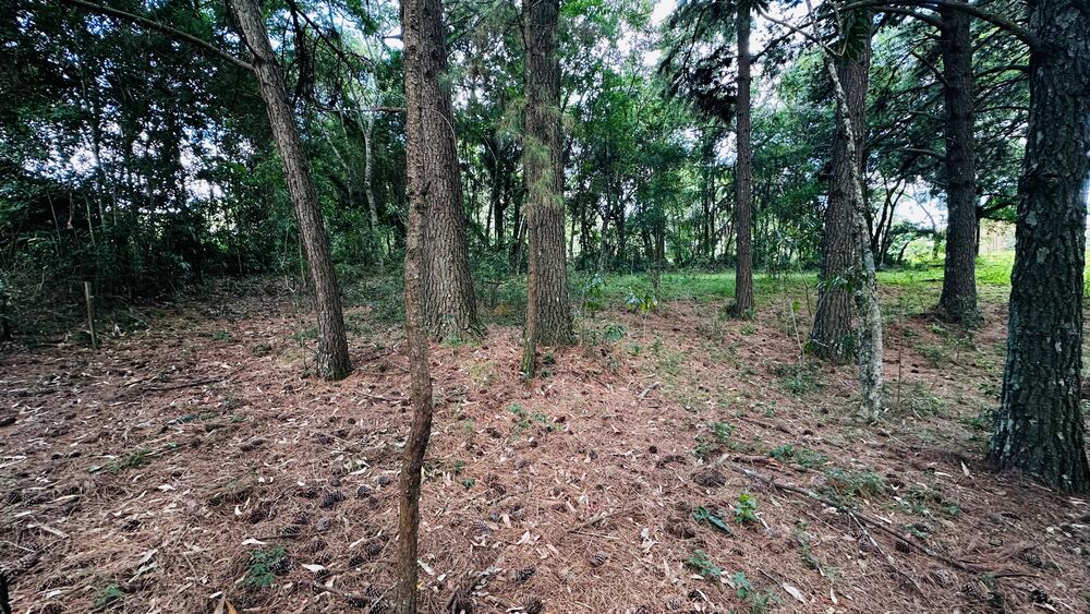 Terreno, 5000 m² - Foto 8