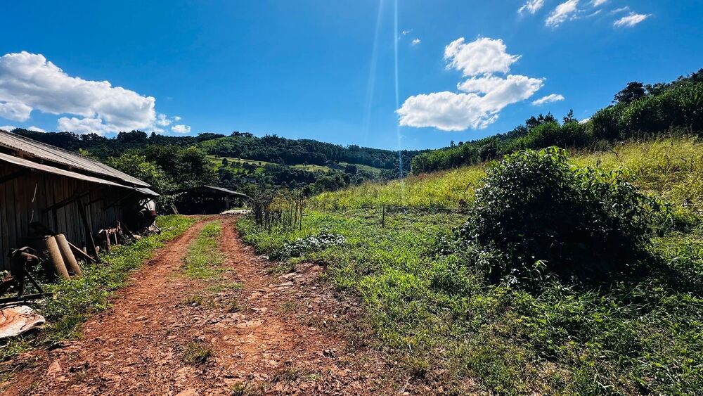 Sítio à venda, 55000m² - Foto 5