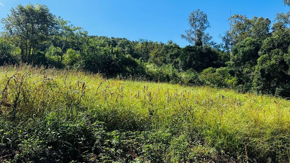 Sítio à venda, 55000m² - Foto 2