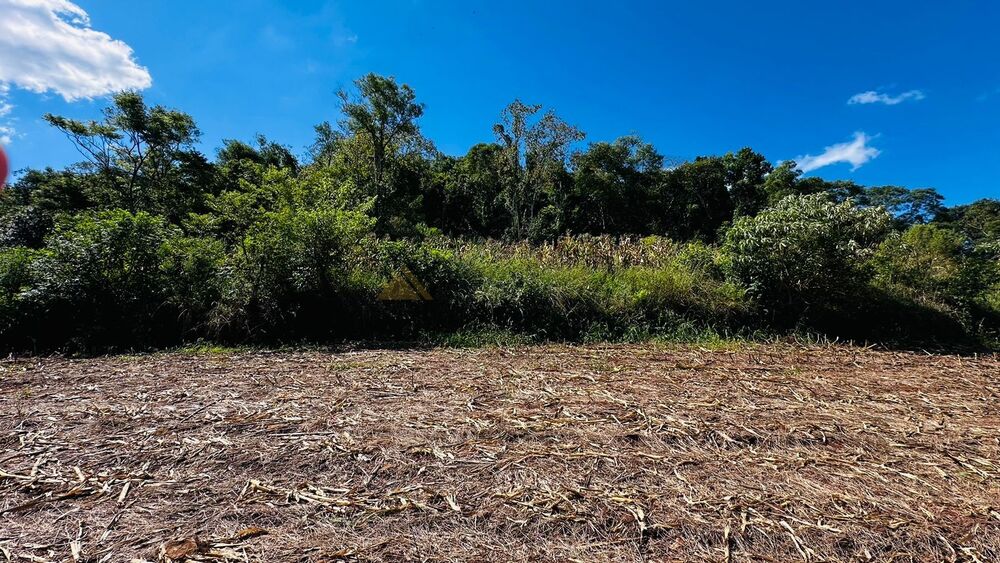 Sítio à venda, 55000m² - Foto 14