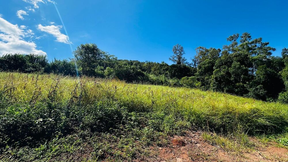 Sítio à venda, 55000m² - Foto 4