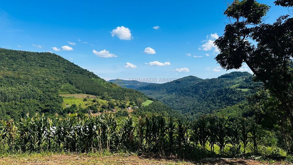Sítio à venda, 55000m² - Foto 15