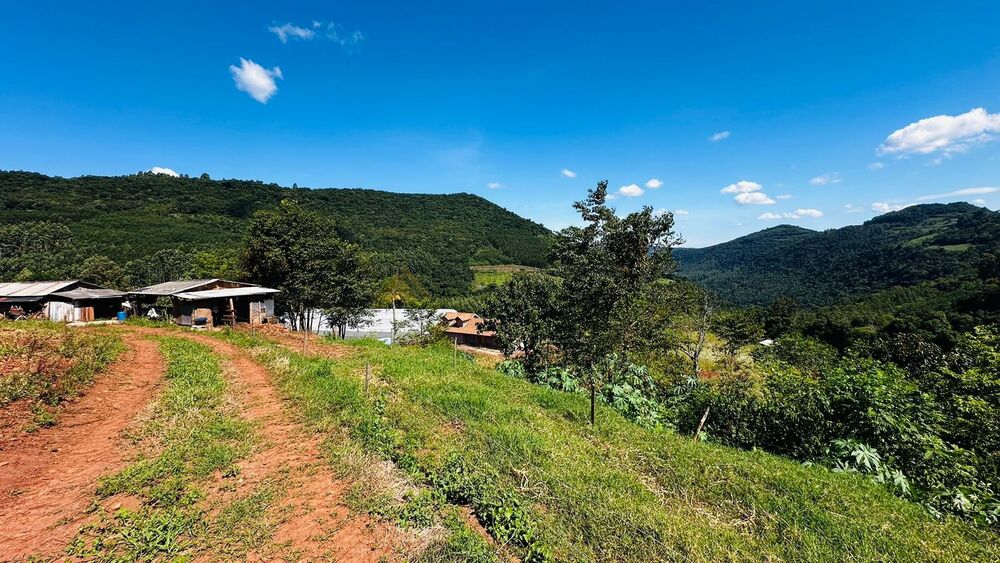 Sítio à venda, 55000m² - Foto 11