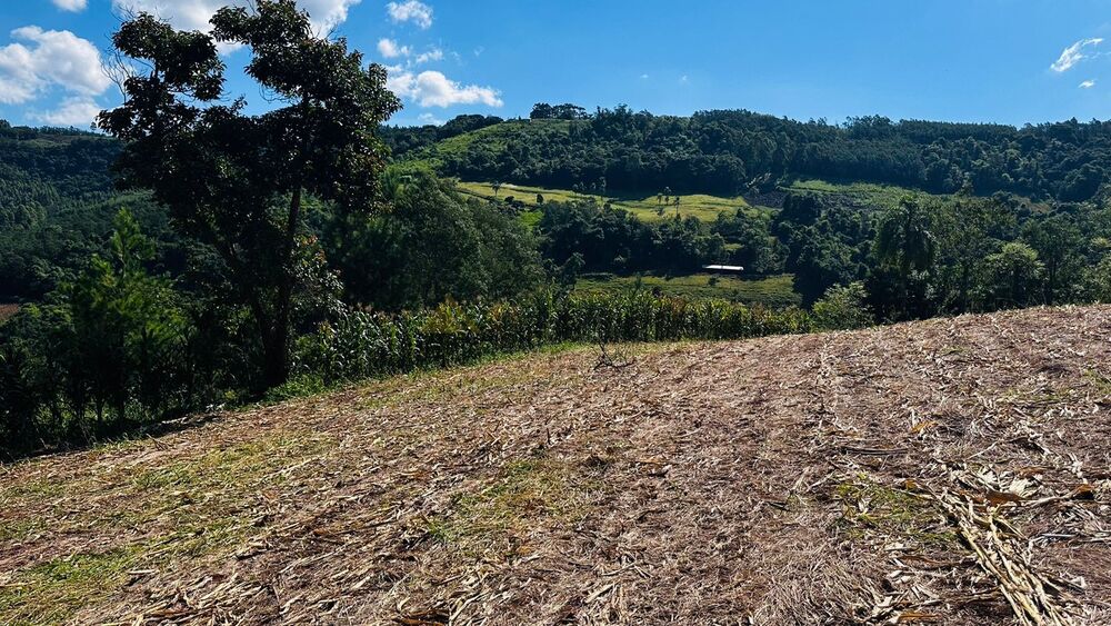 Sítio à venda, 55000m² - Foto 19