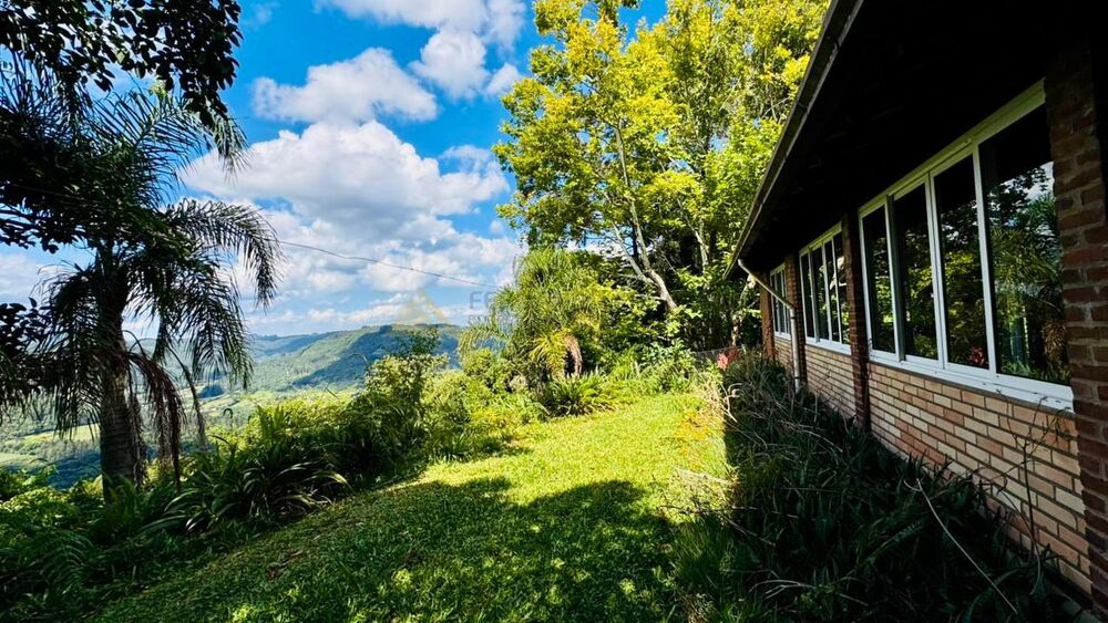 Sítio, 3 quartos, 53875 m² - Foto 1