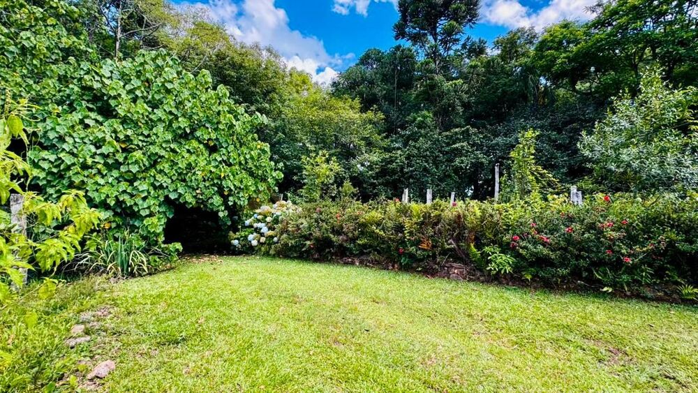 Sítio, 3 quartos, 53875 m² - Foto 2