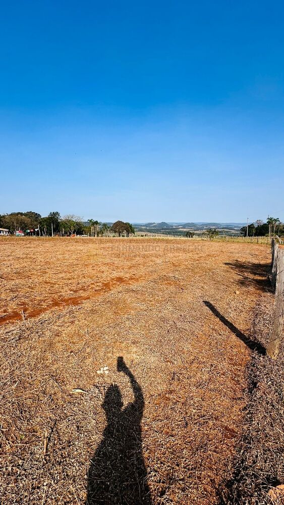 Sítio à venda, 20000m² - Foto 11