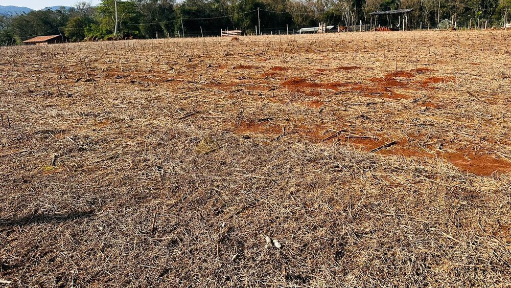 Sítio à venda, 20000m² - Foto 3