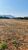 Sítio, 20000 m² - Foto 12