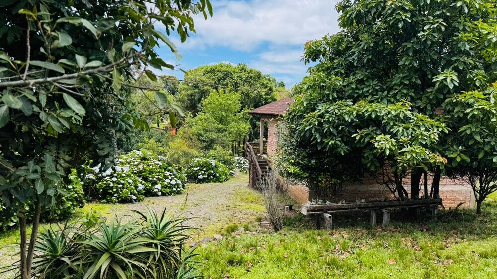Sítio à venda com 2 quartos, 700m² - Foto 8