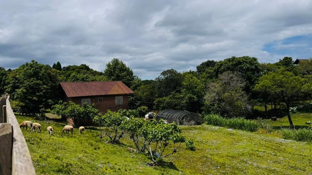Sítio à venda com 2 quartos, 700m² - Foto 6