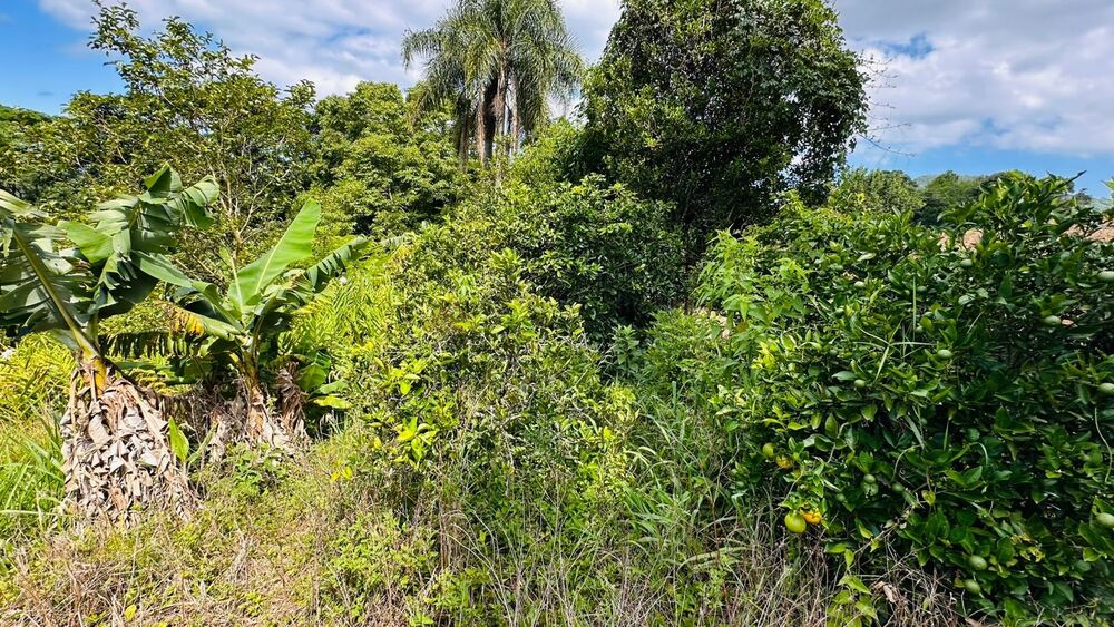 Chácara à venda com 1 quarto, 61612m² - Foto 9