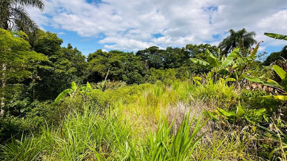 Chácara à venda com 1 quarto, 61612m² - Foto 11