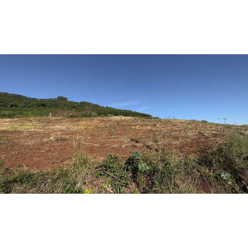 Terreno, 2 hectares - Foto 3