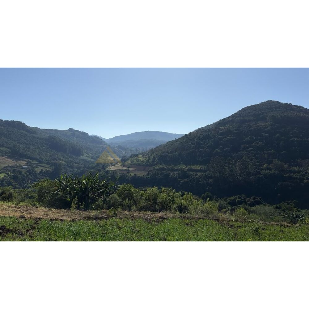 Terreno, 2 hectares - Foto 5